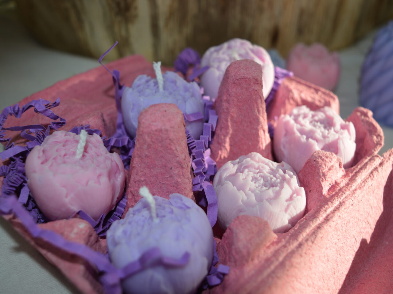 Pakiet 6 mini piwonii w odcieniu lila - róż w wytłaczance